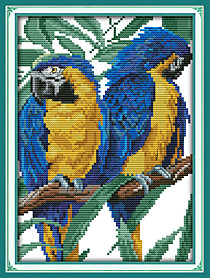 Сине-желтый ара (попугай)