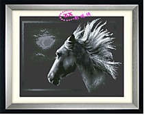 Лунная лошадь (Фон - черная канва)