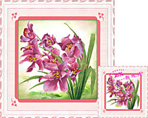 Прекрасные орхидеи (Фон - белая канва)