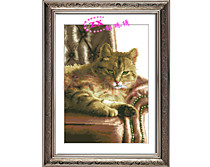 Кот на диване (Фон-белая канва)