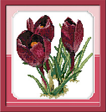 Фиолетовый тюльпан (1)