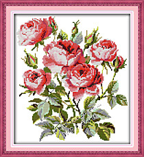 Цветущие розы (2)